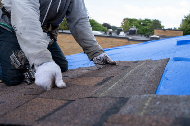 Best New Roof Installation  in Laupahoehoe, HI
