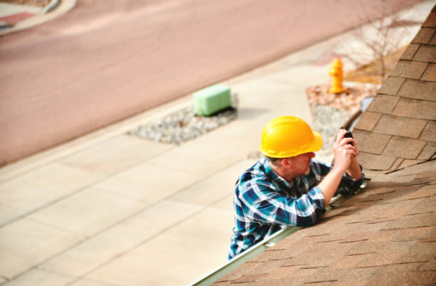 Best Roof Repair Services  in Laupahoehoe, HI