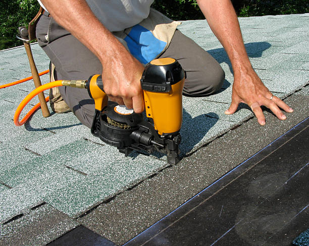 Best Tile Roofing Contractor  in Laupahoehoe, HI