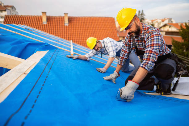 Best Roof Waterproofing Services  in Laupahoehoe, HI