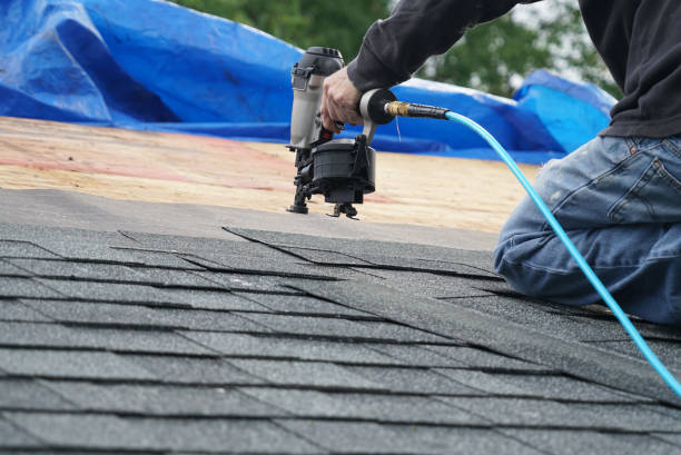 Roof Gutter Cleaning in Laupahoehoe, HI