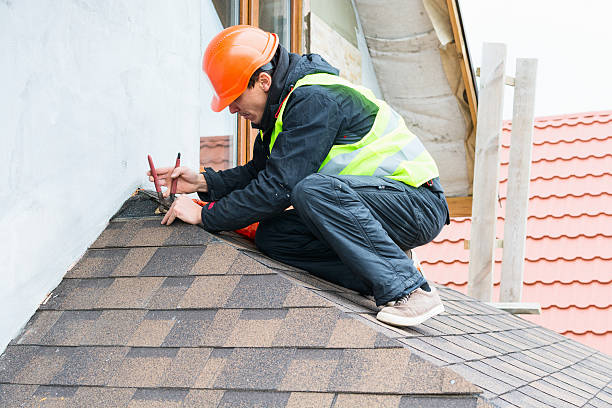Best Residential Roofing Contractor  in Laupahoehoe, HI