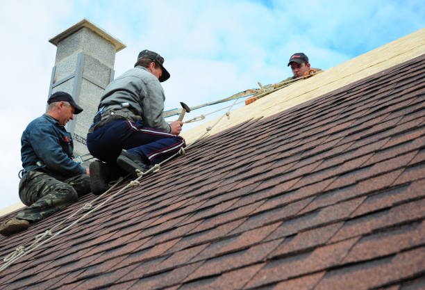 Best Roofing Contractors for Homes  in Laupahoehoe, HI