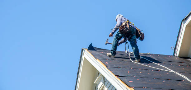 Best Residential Roofing Contractor  in Laupahoehoe, HI
